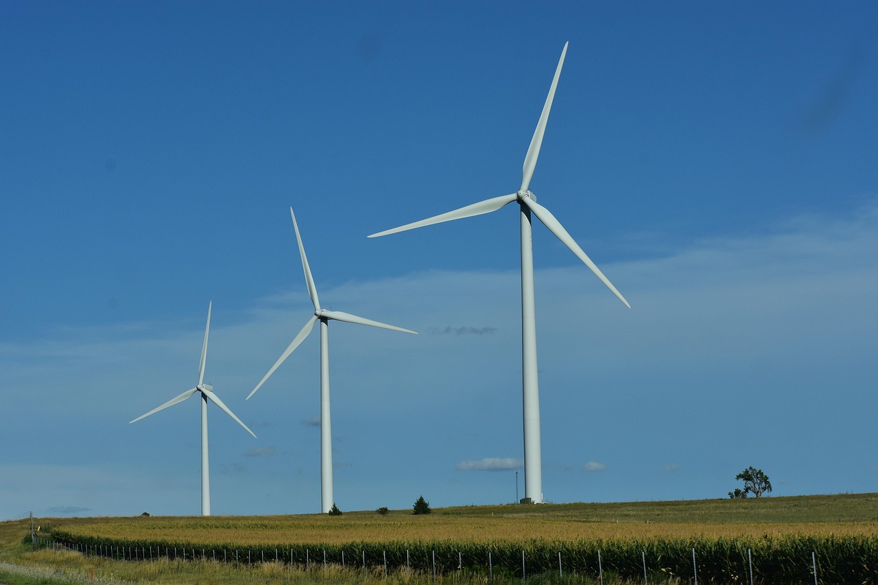Innovación Ambiental